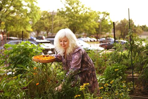 5 Flowers to Grow for a Starter Natural Dyes Garden - Gardenista Dye Plants Garden, Dye Garden Ideas, Waldorf Garden, Dye Garden, Dye Plants, Flowers To Grow, Late Summer Flowers, Natural Dyeing, Public Garden