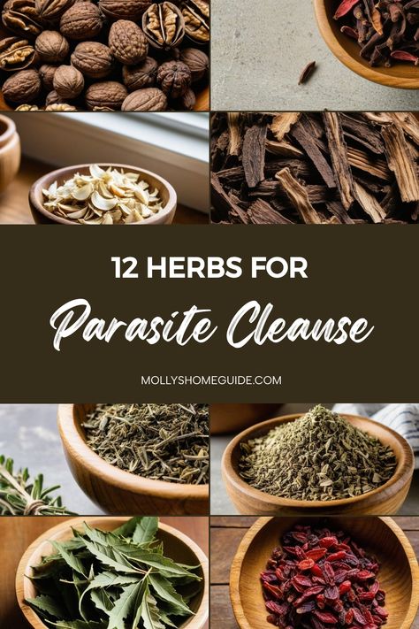 Explore the power of herbs for parasite cleanse with these natural remedies. Rid your body of unwanted parasites with an anti-parasite diet that includes herbs known to kill and eliminate parasites. Try a herbal parasite cleanse to detoxify your system and promote overall wellness. Discover the benefits of a natural parasite cleanse for humans and incorporate foods that can help you detox parasites effectively. Start your journey to kill parasites naturally with these herbs that are specifically All Natural Parasite Cleanse, Parasite Tea Cleanses, Natural Antiviral Remedies, Binders For Parasite Cleanse, Herbs To Kill Parasites, Wormwood For Parasites, Human Parasite Cleanse, Herbs For Parasites, How To Remove Parasites Naturally