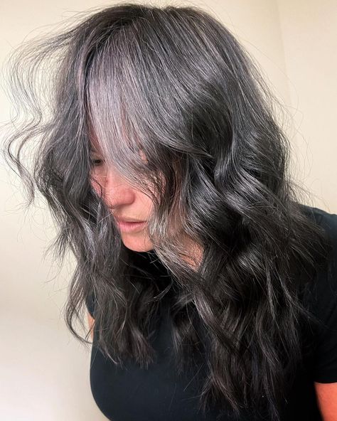 Silver Babylights in Black Hair for Gray Blending Reverse Ombre Silver Gray Hair, Transitioning To Gray Hair From Black, Reverse Highlights For Grey Hair, Gray Roots Blending Black Hair, Grey Babylights On Dark Hair, Gray To Black Ombre Hair, Gray Blending Black Hair, Silver Babylights On Dark Hair, Icy Blonde Ombre