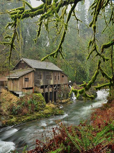 Rainy Winter day. Old Grist Mill, Windmill Water, Rainy Winter, Water Wheels, Wind Mills, Country Barns, Grist Mill, Moss Covered, Fast Moving