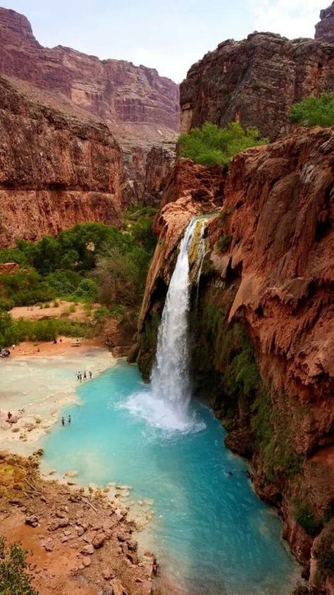 Arizona Havasu Falls, Matka Natura, Arizona Road Trip, Air Terjun, The Grand Canyon, Beautiful Waterfalls, Alam Semula Jadi, Beautiful Places To Travel, Beautiful Places To Visit