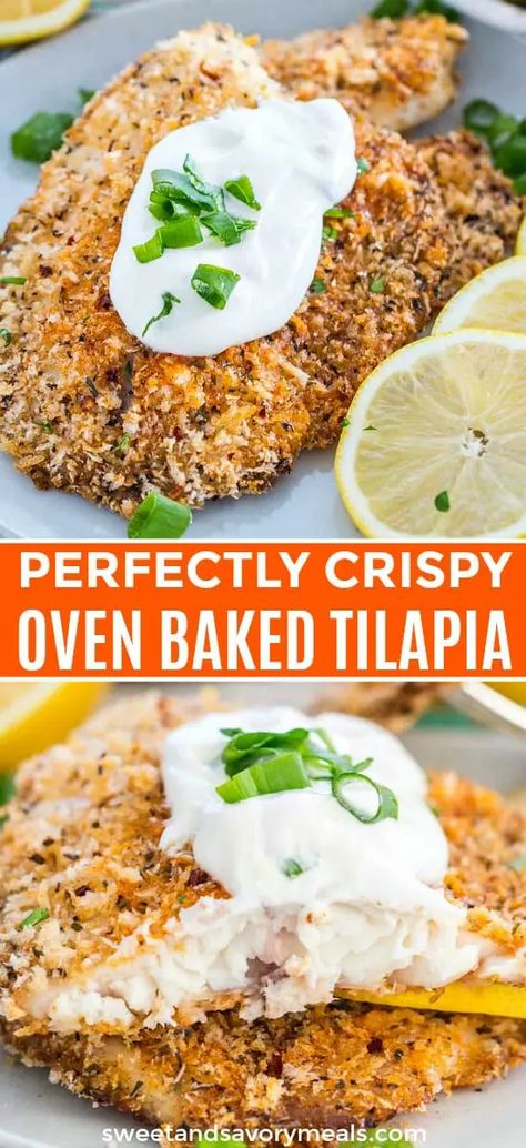 Tilapia Dinner, Breaded Tilapia, Tilapia Recipes Healthy, Oven Baked Tilapia, Healthy Tilapia, Tilapia Recipes Easy, Fish Tilapia, Baked Tilapia Recipes, Fish Breading