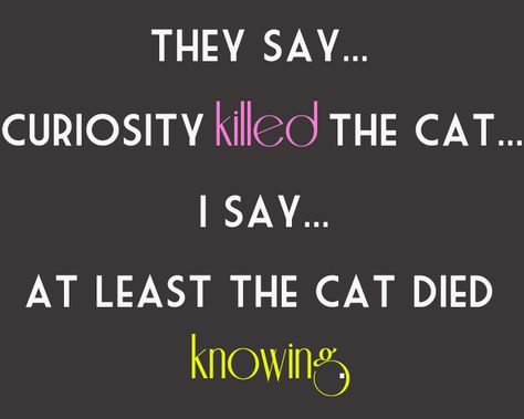 curiosity killed the cat......Satisfaction doesn't always bring it back! Curiosity Quotes Funny, Quotes Fear, Curiosity Quotes, Curiosity Killed The Cat, Sayings And Phrases, Savage Quotes, Cat Quotes Funny, Say That Again, Words Matter