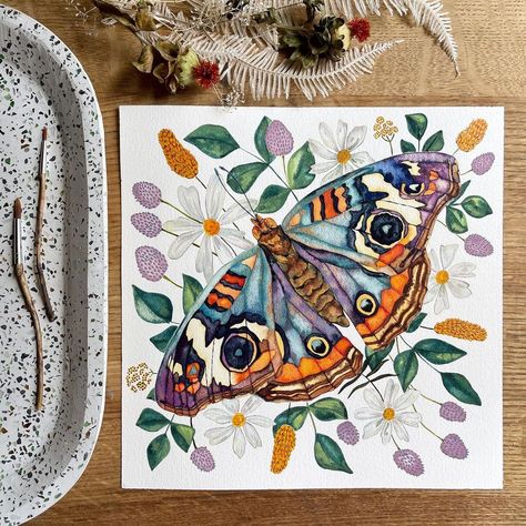 Buckeye Butterfly Drawing, Buckeye Butterfly Tattoo, Watercolor Art Butterfly, Art Inspiration Watercolor, Buckeye Butterfly, Boho Butterfly, Moth Art, Arches Watercolor Paper, Artist Materials