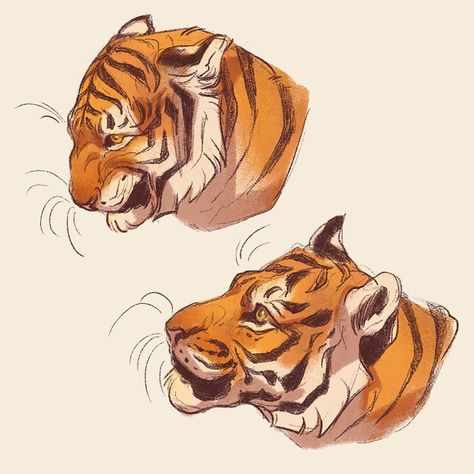 2d art, illustration on Instagram: “You guys have asked me for some timelapses of my work, so let's start with this simple one (swipe!) 🐾 On sunday I had no energy for…” Tiger Fanart, Nora Potwora, Tiger Sketch, Expression Sheet, No Energy, Cats Art Drawing, Tiger Drawing, Animal Anatomy, Big Cats Art