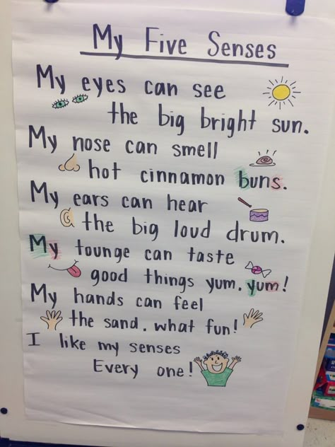 Ms. Rogers 5 senses poem 5 Senses Activities For Infants, Five Senses Project, 5 Senses Preschool Circle Time, Senses Eyfs, 5 Senses Art, Poems Kindergarten, 5 Senses Songs Preschool, Five Senses For Preschool, 5 Senses Lesson Plans Preschool