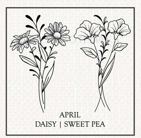 April Birth Flower Sweet Pea, Sweet Pea Drawing Tattoo Ideas, Daisy And Sweet Pea Flower Tattoos, Sweetpea Tattoo Black And White, April Birth Flower Drawing, April Flower Drawing, Sweat Pea And Daisy Flower Tattoo, April Birth Month Flower Tattoo, Sweetpea And Daisy Tattoo