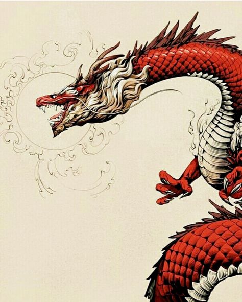 Sketches Dragon, Chinese Dragon Art, Dragon Tattoo Art, Eastern Dragon, Dragon Artwork Fantasy, Asian Dragon, Dragon Sketch, Asian Tattoos, Dragon Tattoo Designs