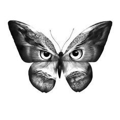 Black and gray butterfly with owl face. Owl Eye Tattoo, Skull Butterfly Tattoo, Owl Tat, Earth Tattoo, Tier Tattoo, Kunst Tattoos, Owl Tattoo Design, Moth Tattoo, Butterfly Tattoo Designs