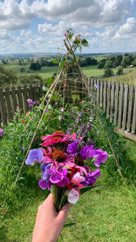 This is your reminder to find a space in your garden for a sweet pea/bean teepee. And if you’re planning to grow your sweet peas from seed… | Instagram Sweet Pea Wigwam, Garden Teepee Trellis, Sweet Pea Tent, Sweet Peas Garden, Sweet Pea Garden Ideas, Sweet Pea Teepee, Sweetpea Teepee, Trellis Teepee, Pea Teepee