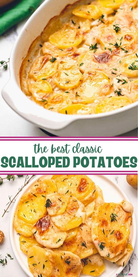 Collage of photos showing baked scalloped potatoes in casserole dish and plated with text overlay that reads the best classic scalloped potatoes. Tasty Scalloped Potatoes, Scalloped Baked Potato Casserole, Best Ever Scalloped Potatoes Recipe, Recipe Scalloped Potatoes, Scalloped Potatoes Dutch Oven, German Scalloped Potatoes, Buttermilk Scalloped Potatoes, Low Fodmap Scalloped Potatoes, Frozen Scalloped Potatoes