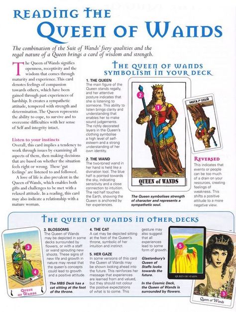 Mind, Body, Spirit Collection - The Queen Of Wands The Queen Of Wands, Queen Of Wands, Tarot Interpretation, Learn Tarot, Wands Tarot, Tarot Cards For Beginners, Learning Tarot Cards, Tarot Card Spreads, Tarot Book