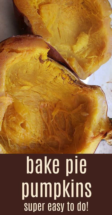 When you bake pie pumpkins, it adds a nice flavor to the pumpkin. It is easy to do yourself too. Who knew it was this simple. Baking Pie Pumpkins, How To Roast Pie Pumpkins, Pumpkin For Pie, Fall Yummies, Pie Pumpkins, Gluten Free Recipes Side Dishes, Pie Pumpkin, Gluten Free Sides Dishes, Sugar Pie