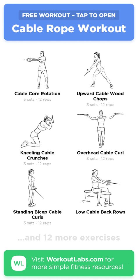 Free Workout: Cable Rope Workout · WorkoutLabs Fit Bowflex Workout Routine, Strong Arms Workout, Back Cable Workout, Back Of Arm Exercises, Cable Machine Workout, Bowflex Workout, Pull Day Workout, Chest Exercise, Workout Labs