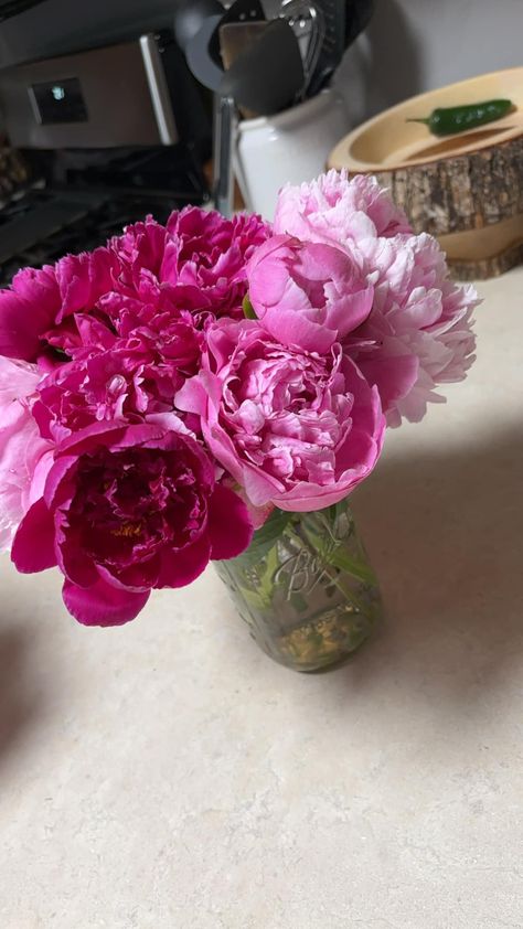 Caleb went outside with mamaw and picked me flowers that she had grown. He made me a bouquet of flowers and he chose the ones he wanted in it. He brought them in and surprised me with them! ♥️🌺 My boy is so sweet when he wants to be. ☺️ Mommy loves you Caleb! ❤️🥹 Andy Nease Mommy Loves You, A Bouquet Of Flowers, Surprise Me, Bouquet Of Flowers, My Boy, So Sweet, He Wants, Go Outside, My Flower