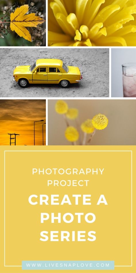 Beauty Fotografie, Creative Photography Projects, Nikon D5500, Photo Lessons, Photo Hacks, Scrub Corpo, Photo Class, Creativity Exercises, Exercise Ideas