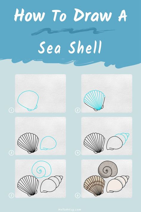 Step by step drawings teaching you how to draw a Sea Shell Drawing How To Draw A Sand Dollar Step By Step, How To Paint Seashells On Canvas, How To Draw Seashells, How To Draw A Seashell, Seashell Drawing, Sea Creatures Drawing, Trin For Trin Tegning, Shell Drawing, Kindergarten Art Lessons