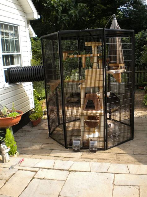 8 Catrageous Ways Your Cat Can Enjoy The Outdoors Safely Diy Jouet Pour Chat, Katt Diy, Katt Grejer, Chat Diy, Cat Patio, Cat Run, Outdoor Cat Enclosure, Diy Cat Toys, Outdoor Cat House