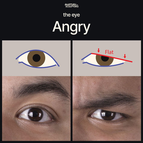 Angry facial expression is largely communicated through the eyes when the brow goes down and makes the upper border of the eye flat while the lower one stays curved. Different Eyes Reference, Angry Eyes Drawing Reference, Angry Character Expression, How To Draw Angry Eyes, Angry Eyes Reference, Angry Drawing Reference, Angry Expression Reference, How Draw Eyes, Crazed Expression