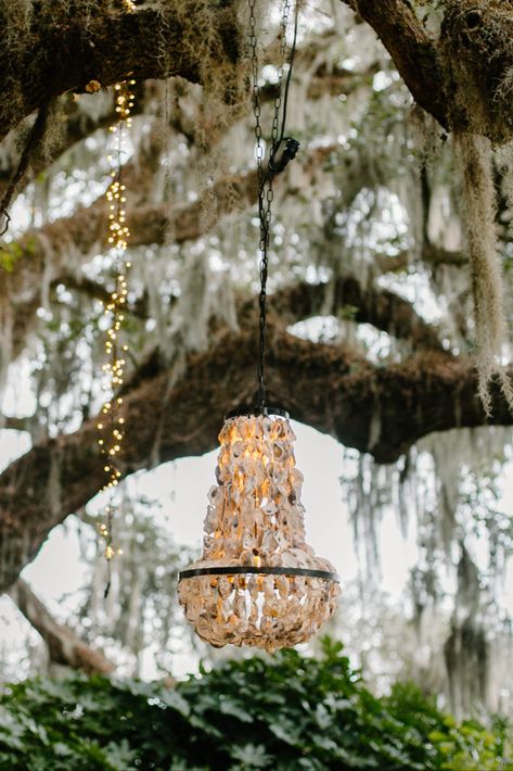 Coastal Cowboy Wedding, Southern Coastal Wedding, Oyster Wedding Decor, Lowcountry Aesthetic, Oysters Wedding, Coastal Cowgirl Wedding, Oyster Chandelier, Swamp Wedding, Marsh Wedding