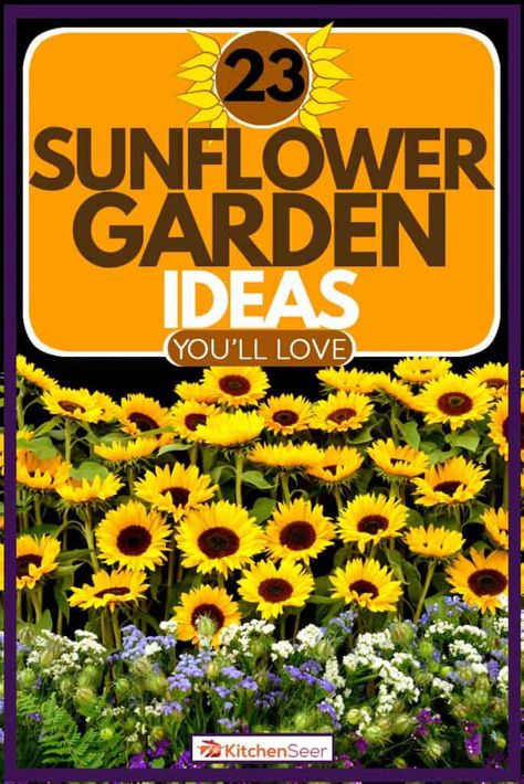 Sunflowers Planting Ideas, Sunflower Garden Ideas, Sunflower Seedlings, Perennial Sunflower, Mammoth Sunflower, Types Of Sunflowers, Green Backyard, Growing Sunflowers, Planting Sunflowers