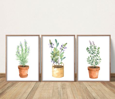 This set of 3 watercolor culinary herbs all come in 3 sizes; 5x7, 8x10 and 11x14, so they are very versatile. Great for a kitchen, dining room or living room And being digital downloads, they're most affordable! (L7.30) - This is a digital download; no physical item will be sent - Prints to a 5x7, 8x10 or 11x14 inch size; all 3 sizes are included in your purchase - 16x20 files available upon request; they just would not fit into the space allowed - For best results, take to a local printer such Watercolor Herbs, Herb Prints, Herb Wall, Rosemary Sage, Plant Poster, Triptych Wall Art, Botanical Print Set, Culinary Herbs, Herb Pots