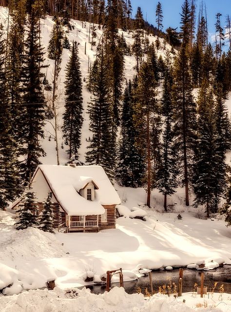 Colorado, Winter, Snow, Log Cabin, Cottage, Home Mountain Huts, Colorado Winter, Winter Cabin, Holiday Postcard, Holiday House, A Cabin, Cabin In The Woods, Winter Scenery, Cabins And Cottages