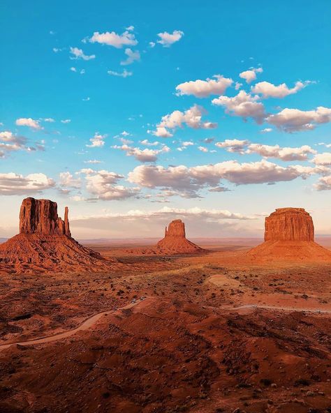 travel destinations affordable family Travel In Your 20s, Monument Valley Arizona, Your 20s, Travel Quotes Inspirational, Family Travel Destinations, Travel Quotes, Insta Travel, A Tree, Monument Valley