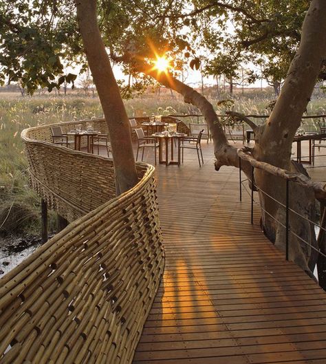 andBeyond Sandibe Okavango Safari Lodge, Botswana Winter Vacation Packing List, Botswana Travel, Winter Vacation Outfits, Lodge Ideas, Chobe National Park, Okavango Delta, Resort Design, Safari Lodge, Winter Vacation