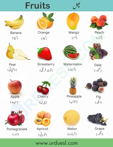 All Fruit Names in English and Urdu With Pictures - Download pdf Fruits Name List, Vegetables Names With Pictures, Fruits Name With Picture, Learning Urdu, Urdu Learning, Fruits Name In English, Name Of Vegetables, Cashew Apple, Printable Folder