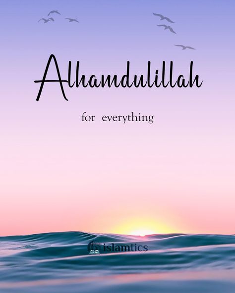 alhamdulillah for everything Thank You Messages Gratitude, Islamic Whatsapp Dp, Thank You Allah, Coran Quotes, Lovely Good Morning Images, Beautiful Profile, Good Night Love Messages, Alhamdulillah For Everything, Alhumdulillah Quotes