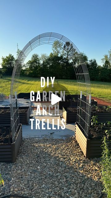 Julie | Farmhouse On Waters on Instagram: "We use hog panels for our garden arch trellises. They are not as wide as cattle panels and fit perfectly in our raised garden beds. We install them on the inside of the garden bed for a couple of reasons. We are able to use almost all of the panel to grow our veggies and we like the way it looks. We also install solar twinkle lights for added interest at night. 

#gardentrellis #gardentrellises #archtrellis #gardendesign #gardening #gardenideas #happygardeninglife #gardeningtips #gardeninghacks #gardenhack #gardeninspiration #ourgarden #backyardgarden #backyardgardening #gardenlover #gardenarch #gardeningonabudget #budgetgardening #trellis" Raised Garden Beds Trellis Arch, Bed Frame Garden Gate, Arch Trellis Ideas Garden, Wonderland Backyard, Tiny Yard, Horse Trough, Garden Arch Trellis, Cattle Panels, Garden Boxes Raised