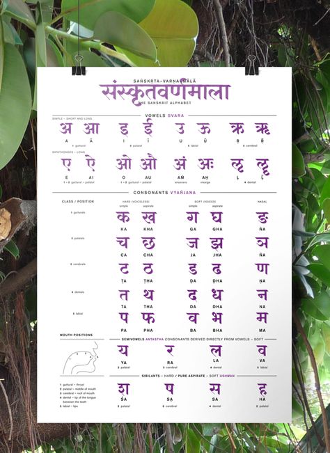 Sanskrit Alphabet Poster by Heidi Scholze, via Behance Sanskrit Alphabet, Sanskrit Grammar, Teaching Verbs, अंग्रेजी व्याकरण, Hindi Alphabet, Sanskrit Language, Hindi Language Learning, Learn Hindi, Sanskrit Quotes