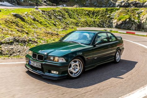 Autos Bmw, E36 Sedan, 1995 Bmw M3, E36 Coupe, E36 M3, Bmw Price, Bmw Wagon, Bmw Motorsport, British Racing Green