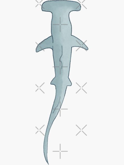 Watercolor of a hammerhead shark from above. Hammerhead Shark Silhouette, Hammerhead Shark Design, Cardboard Crafts Animals, Cardboard Hammerhead Shark, Hammerhead Shark Cardboard, Hammer Shark Drawing, Cardboard Shark Template, Hammer Head Shark Drawings, Hammerhead Shark Outline