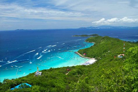 Seafood Lunch, Pattaya City, Coral Island, Pattaya Thailand, Island Destinations, Couple Getaway, Coastal Cities, Island Tour, Best Resorts