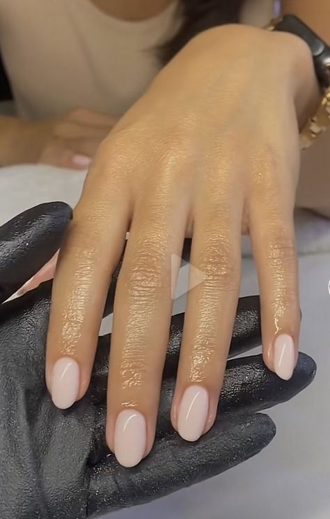 Manicure Inspiration Short Nails, Classic Chic Nails, Elegant Manicure Classy Natural Nails, Gel Nails Mid Length, Mid Size Nails, Soft Oval Nails, Short Nail Neutral, Classy Oval Nails Short, Shorter Round Nails