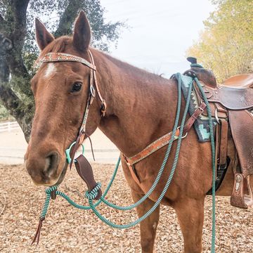 Tack Sets– Andrea Equine