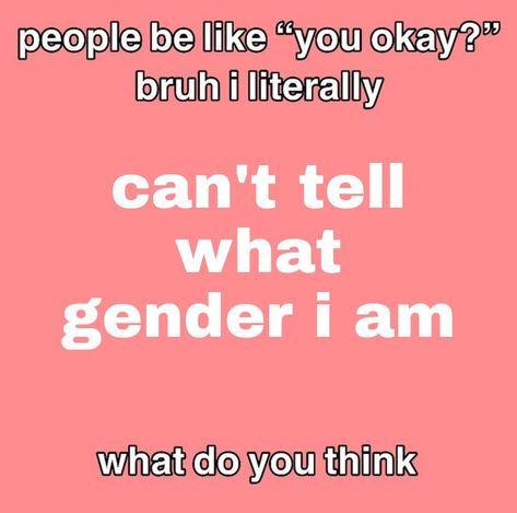 Gender Confusion Humor, Gender Humor, Gender Disphorphia, What Is My Gender, Gender Dysformia, Gender Identity Crisis, Gender Crisis, Gender Confusion, Im So Confused