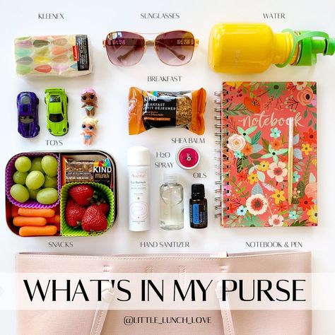 Kids Lunch & Snack Ideas on Instagram: “Are any of these items in your purse? 👜 _ These are the items I have in mine and each one helps to keep me organized 🤓throughout my day!…” Purse Snacks, Lunch Snack Ideas, What's In My Purse, Sassy Girl, Lunch Snacks, Kids Lunch, Snack Ideas, My Day, Hand Sanitizer