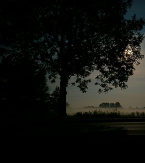 You know, we may find ourselves in a meadow at night in b… | Flickr Dark Meadow, Meadow At Night, Moonlit Garden Aesthetic, Twilight Meadow, Meadow Twilight, Double Islands, Paris Markets, Create Words, The Meadows