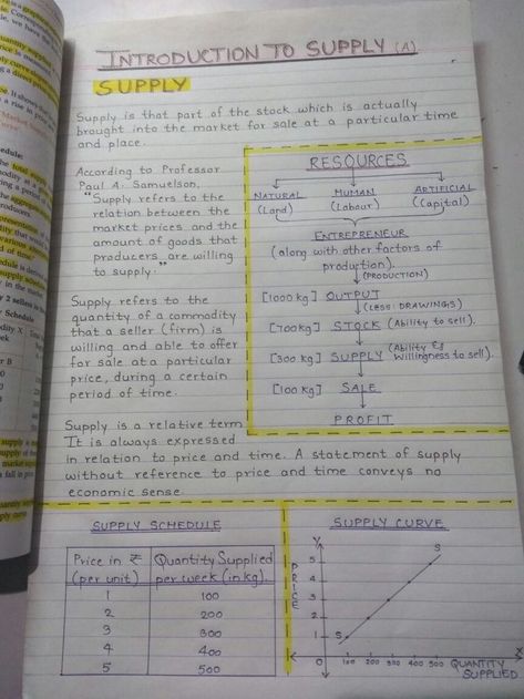 How To Make Economics Notes, Ap Economics Notes, Socialology Notes, Economics Notes Ideas, Study Notes Economics, Microeconomics Notes Aesthetic, Study Tips For Economics, Business Notes College, Business School Notes