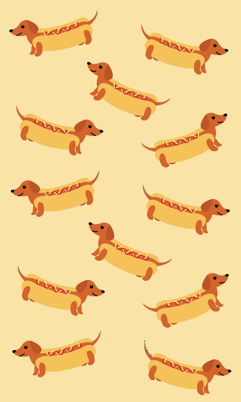 Cute Dog Iphone Wallpaper, Wiener Dog Wallpaper, Dashound Wallpaper Iphone, Daschund Wallpaper Iphone, Weenie Dogs Wallpaper, Dachshund Wallpaper Iphone, Dachshund Iphone Wallpaper, Daschund Wallpaper, Weenie Dog Wallpaper