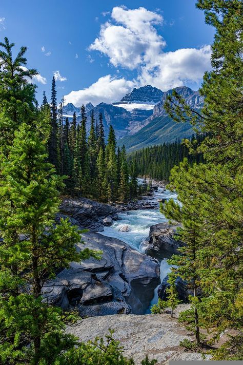 Conifer Forest, River Rocks, Forest Wallpaper, Smoky Mountain National Park, Banff National Park, River Rock, Amazing Nature, Nature Pictures, Natural Wonders