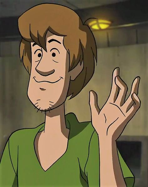 Cartoon Characters Animals, 2010 Cartoon Characters, Hear Me Out Game Characters, Hear Me Out Animated Characters, Shaggy Rogers Icon, Outrageous Hear Me Outs, Hot Characters Cartoon, Shaggy Scooby Doo Icons, Cartoon Hear Me Out