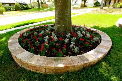 12 Amazing Ideas for Flower Beds Around Trees Ideas For Flower Beds, Flower Beds Around Trees, Beds Around Trees, Raised Flower Beds, Splash Of Color, Amazing Ideas, Flower Beds, Simple Way, Planting