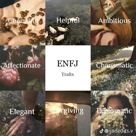 Enfj Aesthetics Core, Enfj Core Aesthetic, Enfj And Enfp, Enfj Quotes, Enfj Personality Aesthetic, Enfj Aesthetics, Enfj Characters, Enfj Core, Enfj Infp