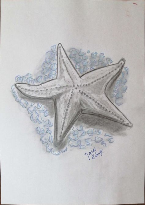 "Starfish" Pencil drawing by JalelEdine Art. #art #dailyart #artwork #jaleledineart #pencildrawing #starfish #seacreatures #summertime #summervibes #enjoysummer Starfish Drawing Easy, Starfish Sketch, Starfish Drawing, Assignment Ideas, Speed Draw, Easy Doodle, Doodles Drawings, Anatomy Sketches, Fish Drawings