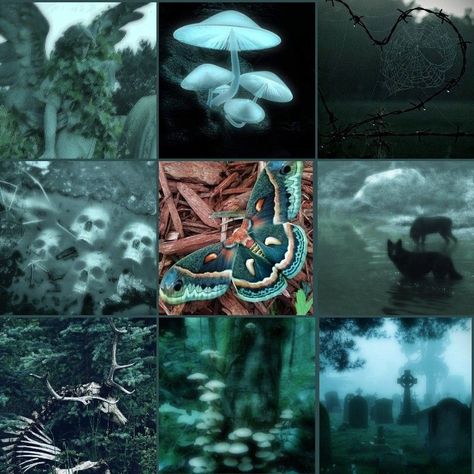 Demon Slayer Moodboard, Fantasy Moodboard Aesthetic, Cryptidcore Moodboard, Bat Moodboard, Creepy Moodboard, Moth Moodboard, Bug Moodboard, Shadow Moodboard, Alt Moodboard