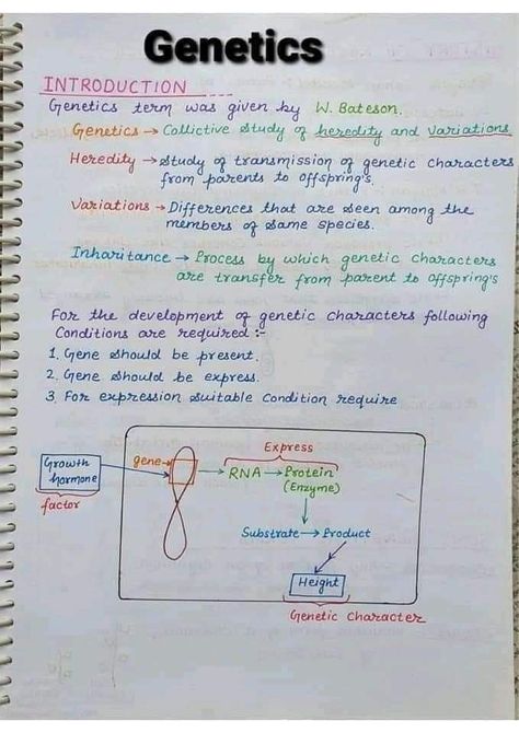 Chromosome and genetics biology Hand written Notes by best chemistry teacher Sir Asadullah Mastoi Inheritance Notes Biology, Genetics And Inheritance Notes, Biology Notes Genetics, Life Sciences Study Notes Grade 12, Basic Biology Notes, Chromosomes Notes, Biology Notes Class 10, Genetics Notes Biology, Class 10 Science Notes Biology